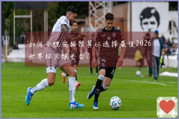 如何合理安排预算以选择最佳2026世界杯买球平台？