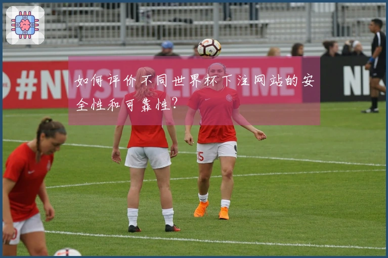 如何评价不同世界杯下注网站的安全性和可靠性？