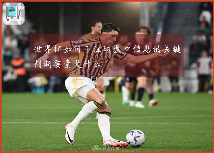 世界杯如何下注时盘口信息的关键判断要素是什么