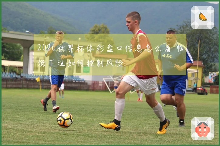 2026世界杯体彩盘口信息怎么看 临场下注如何控制风险