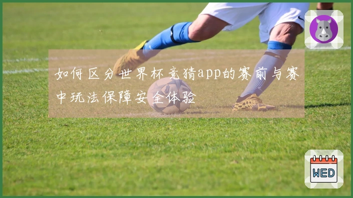 如何区分世界杯竞猜app的赛前与赛中玩法保障安全体验