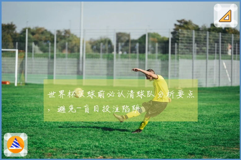 世界杯买球前必认清球队分析要点，避免-盲目投注陷阱